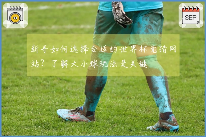 新手如何选择合适的世界杯竞猜网站？了解大小球玩法是关键