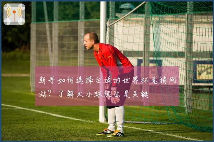 新手如何选择合适的世界杯竞猜网站？了解大小球玩法是关键